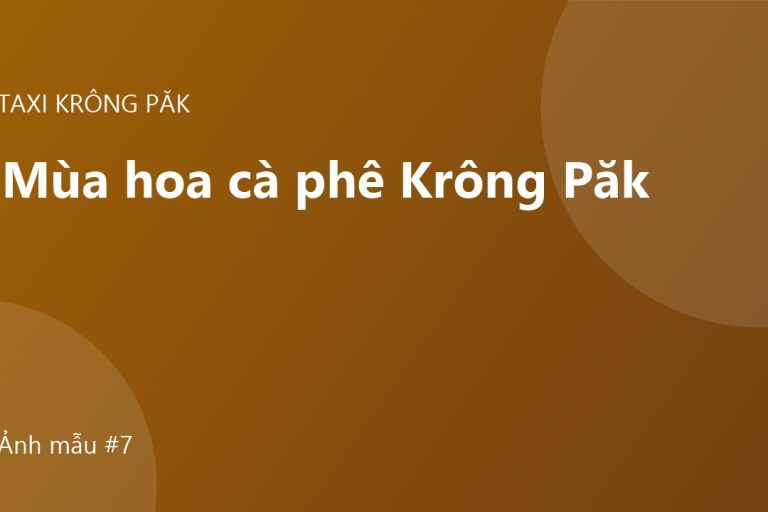 Mùa hoa cà phê Krông Păk: thời điểm và điểm chụp ảnh