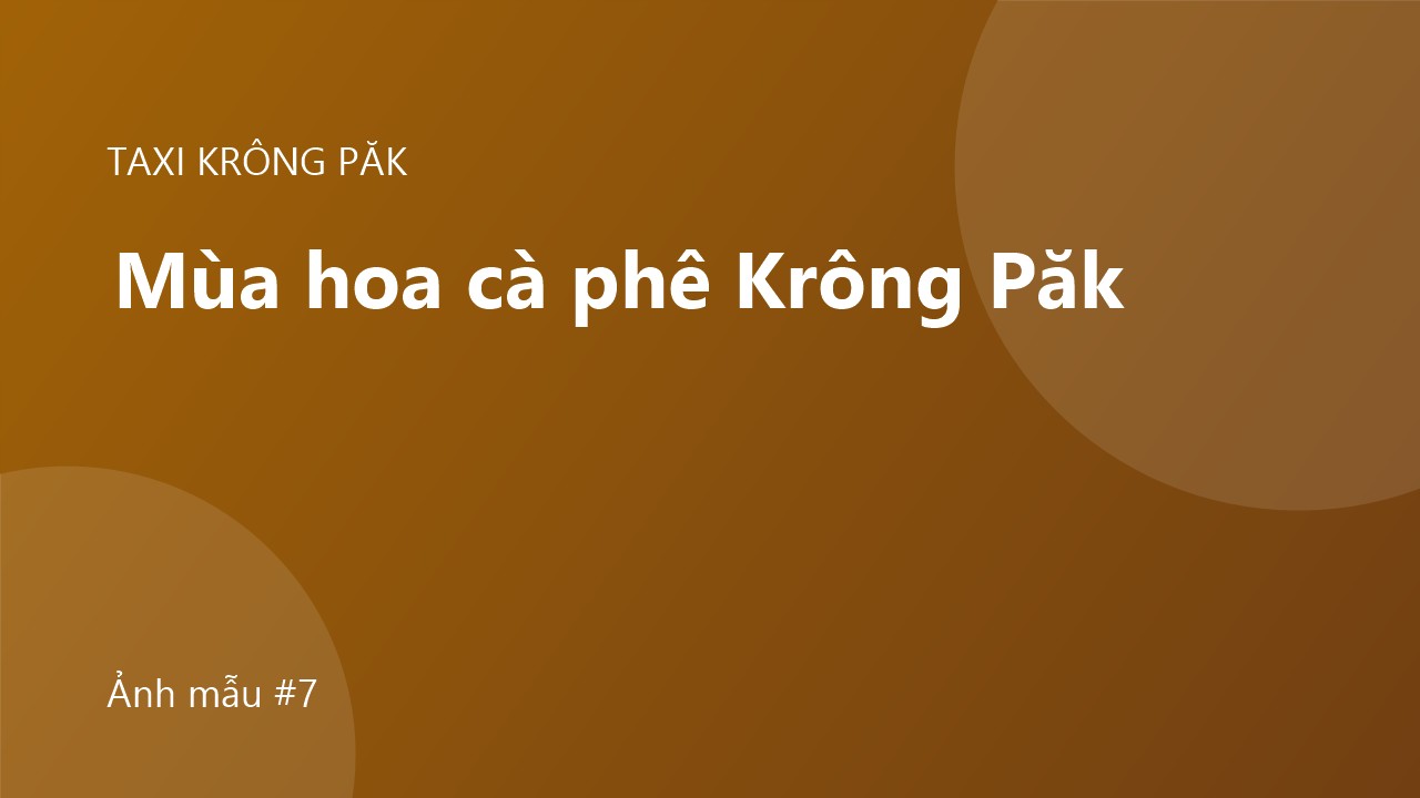 Mùa hoa cà phê Krông Păk: thời điểm và điểm chụp ảnh